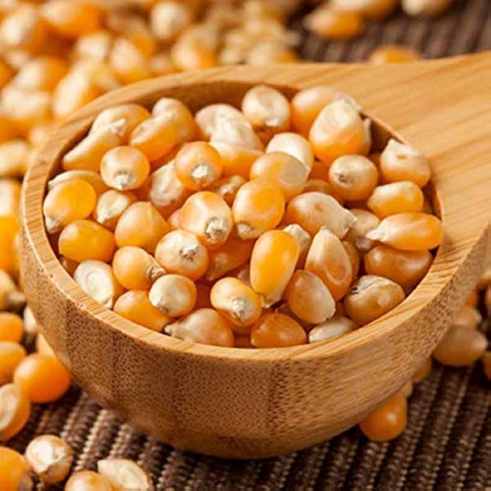 AMERICAN POP CORN *500G DIWAN