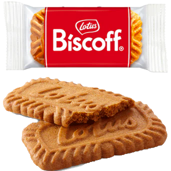 Lotus Biscoff 2x8x12