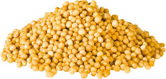 DIWAN MUSTAR SEEDS 50G