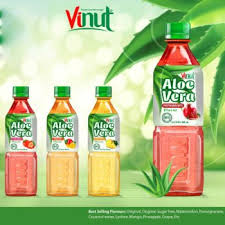 vinut aloe vera