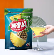 DARINA